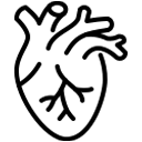 Cardiovascular Disorders icon