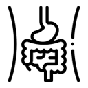Digestive Disorders icon