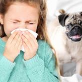 Allergic Asthma